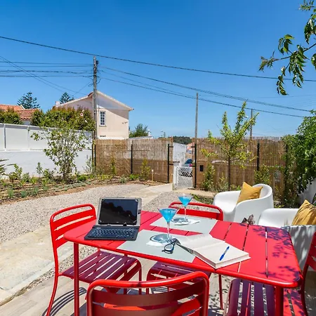 Beguest Blue Family *